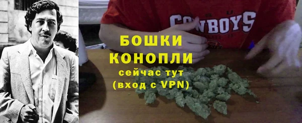 мдпв Богданович