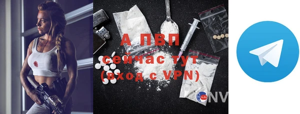 mdpv Богородицк