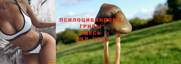 mdpv Богородицк