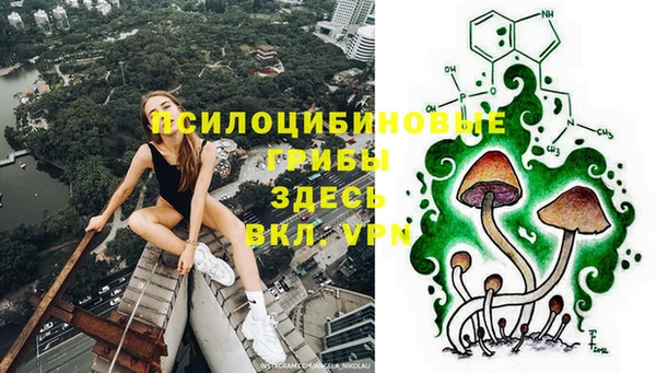 мдпв Богданович