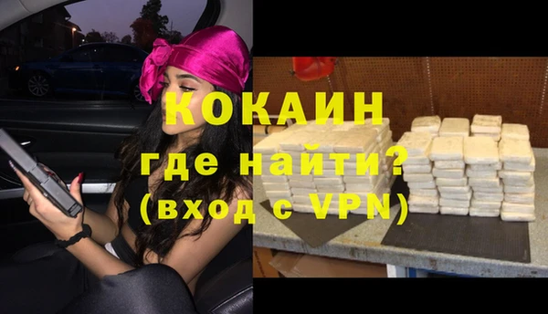 мдпв Богданович