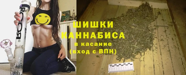 мдпв Богданович