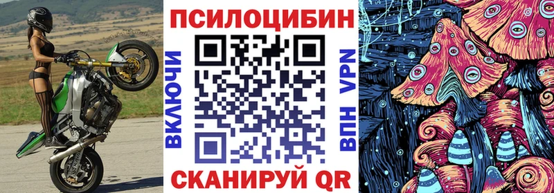 Галлюциногенные грибы Psilocybe ссылка на мегу маркетплейс Нурлат